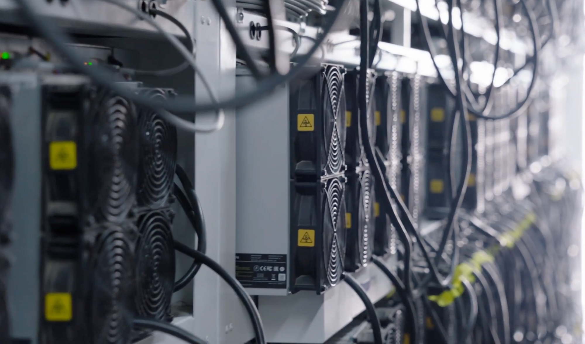 Rows of Bitmain Antminer ASIC rigs in a professional bitcoin mining hosting facility with overhead cable management