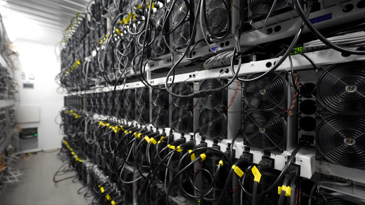 Rows of Bitcoin ASIC miners with cooling fans rack-mounted in a professional hosting facility with organized power cables